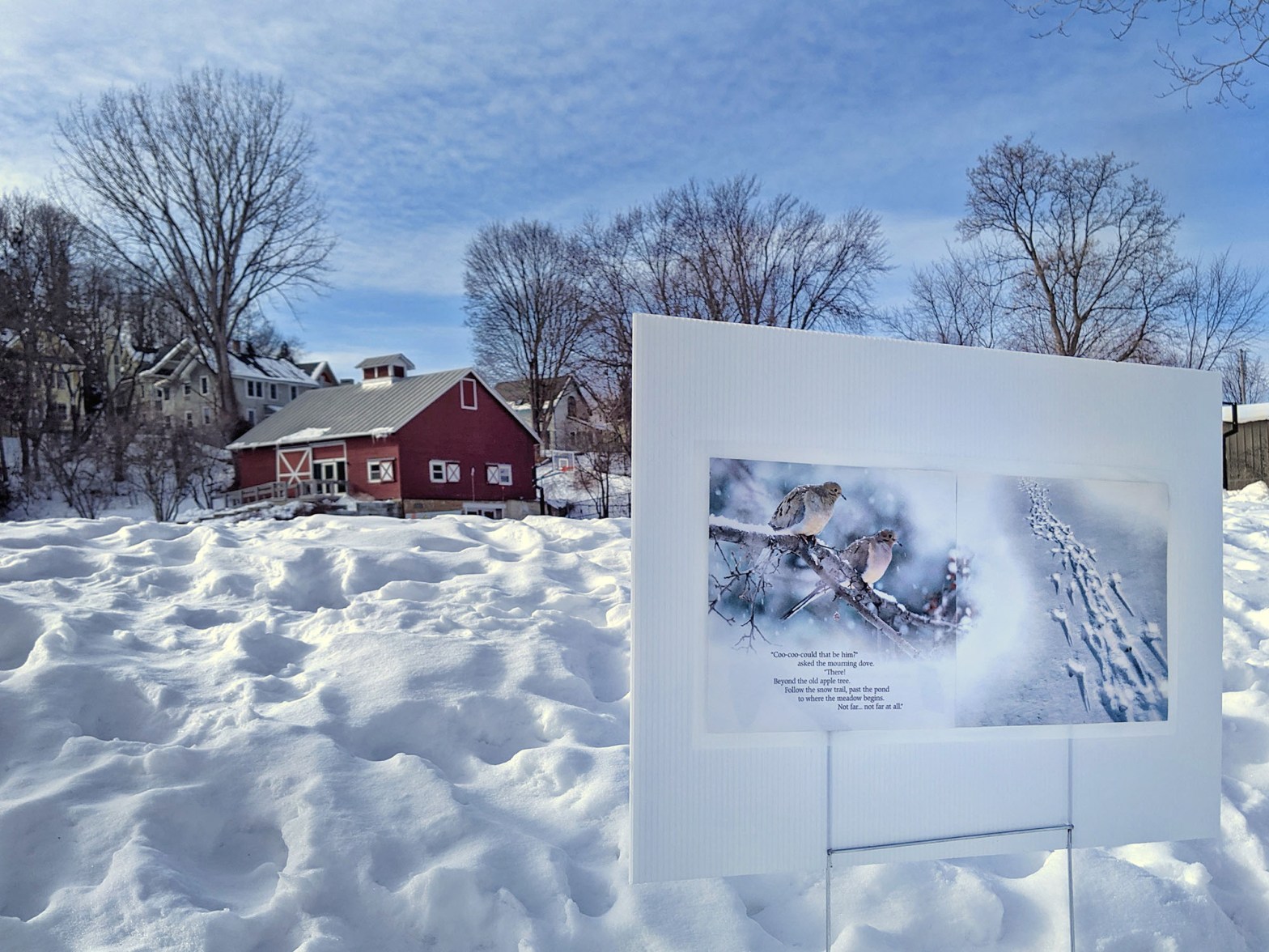 StoryWalk sign highlighting Stranger in the Woods