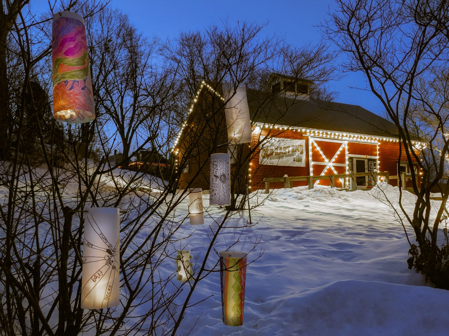 Glowing handmade lanterns hang in a shrub in Schmanska Park