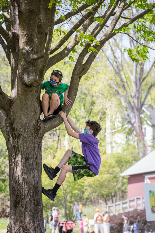 Kids climb trees in the park
