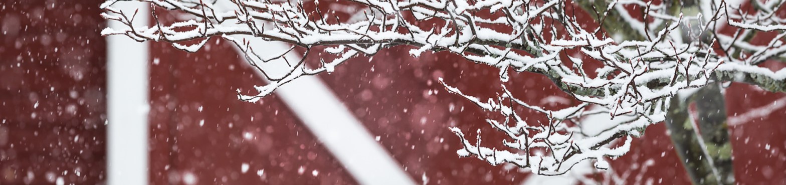 Old East End Schmanska Barn Detail in Snow
