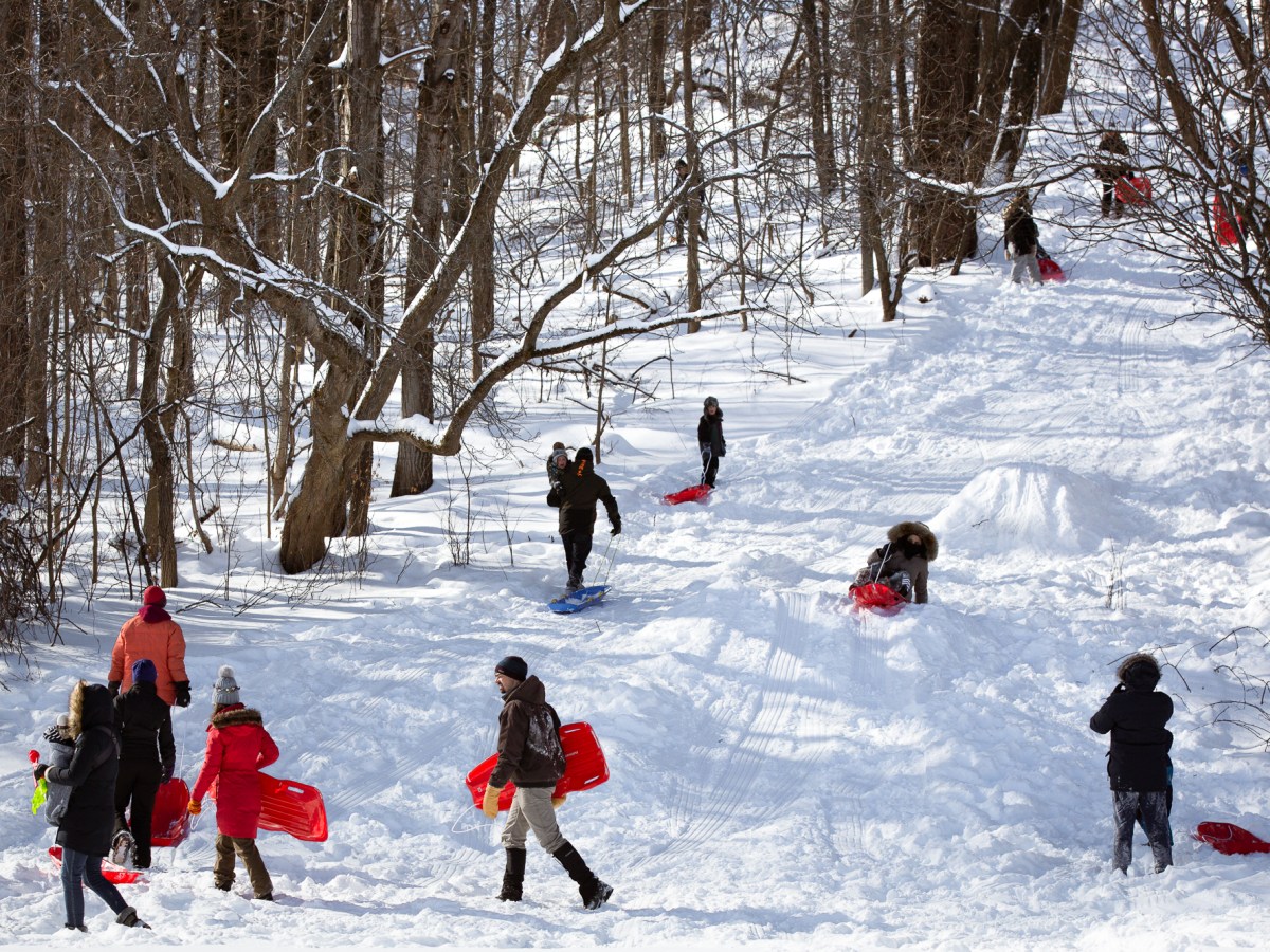 Save the Date – Winterlude&nbsp;2025!